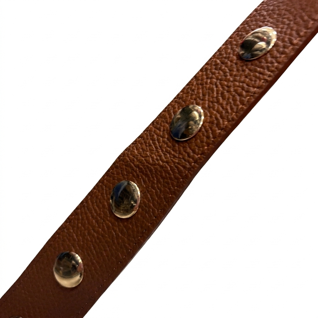 LYRA - Bolso de hombro con flecos y tachuelas MARRON